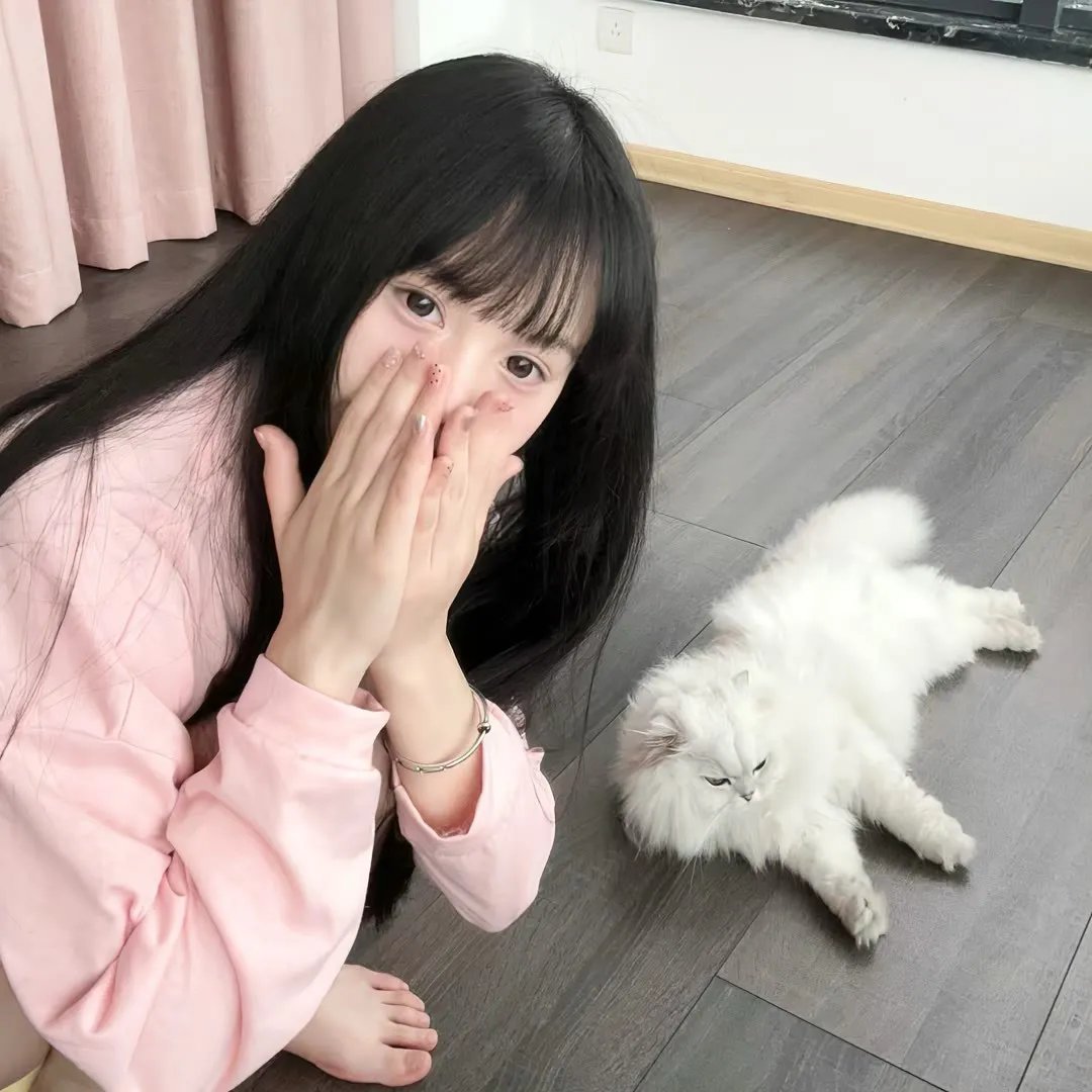 犬夜叉：镜中的梦幻城